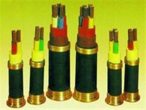 七芯屏蔽電纜電纜國(guó)標(biāo)型號(hào) 七芯屏蔽電纜電纜國(guó)標(biāo)型號(hào)